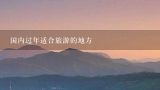 国内过年适合旅游的地方,过年去哪里旅游比较好