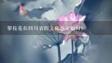 攀枝花在四川省的文化意义如何?