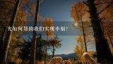 光如何帮助我们实现幸福?