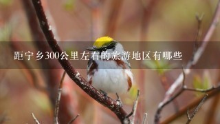 距宁乡300公里左右的旅游地区有哪些