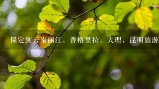 保定到云南丽江，香格里拉，大理，昆明旅游攻略，求高手支招，大概预算?