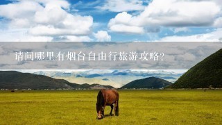 请问哪里有烟台自由行旅游攻略？