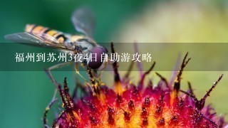 福州到苏州3夜4日自助游攻略