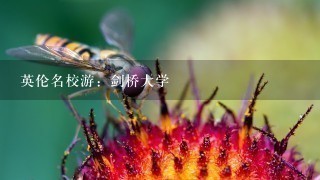 英伦名校游：剑桥大学