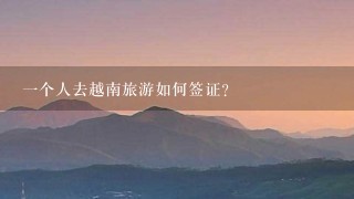 一个人去越南旅游如何签证？