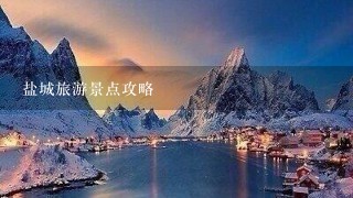 盐城旅游景点攻略