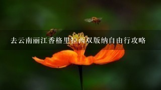 去云南丽江香格里拉西双版纳自由行攻略