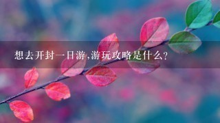 想去开封一日游,游玩攻略是什么?