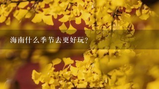 海南什么季节去更好玩？