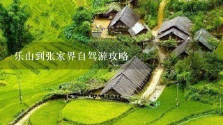 乐山到张家界自驾游攻略