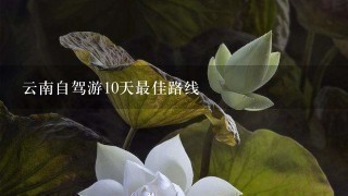 云南自驾游10天最佳路线