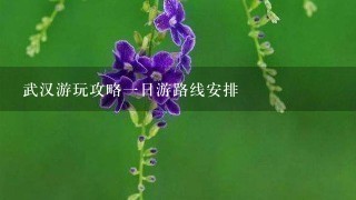 武汉游玩攻略一日游路线安排