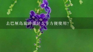 去巴厘岛旅游带什么卡方便使用?