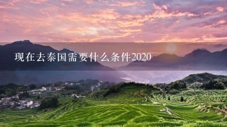 现在去泰国需要什么条件2020