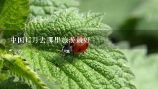 中国12月去哪里旅游最好