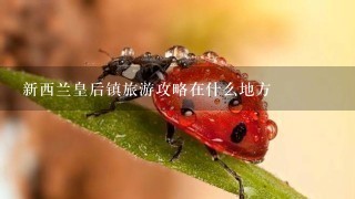 新西兰皇后镇旅游攻略在什么地方