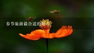 春节旅游最合适的地方