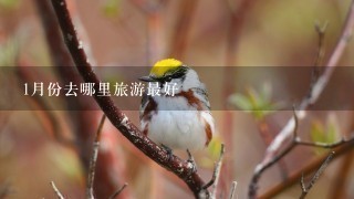 1月份去哪里旅游最好