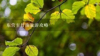 东营至甘南旅游攻略