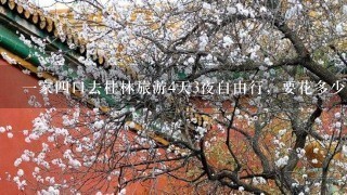 一家四口去桂林旅游4天3夜自由行，要花多少钱