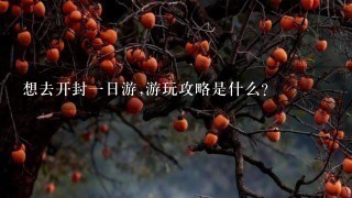 想去开封一日游,游玩攻略是什么?