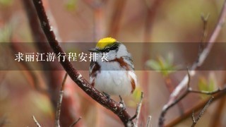 求丽江游行程安排表