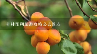 桂林阳朔旅游攻略必去景点