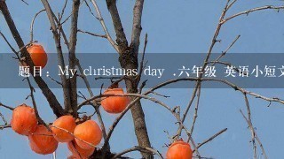 题目：My christmas day .六年级 英语小短文（五十字左右）快