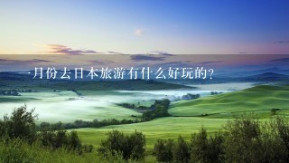 一月份去日本旅游有什么好玩的？