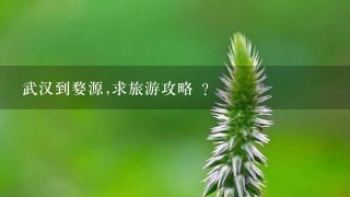 武汉到婺源,求旅游攻略 ?