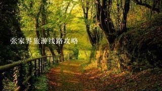 张家界旅游线路攻略