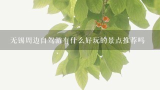 无锡周边自驾游有什么好玩的景点推荐吗