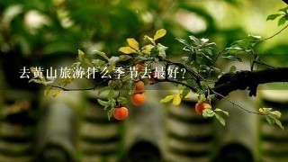 去黄山旅游什么季节去最好?