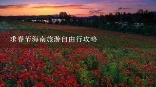 求春节海南旅游自由行攻略