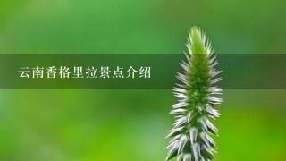 云南香格里拉景点介绍