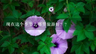 现在这个季节去哪里旅游好？？