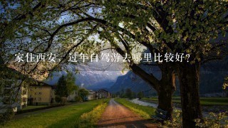 家住西安，过年自驾游去哪里比较好？