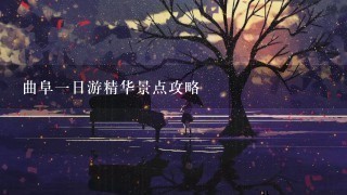 曲阜一日游精华景点攻略