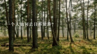 一个人如何去日本旅游？