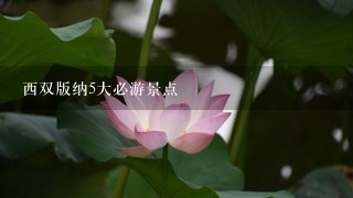 西双版纳5大必游景点