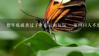 想年底或者过了年去云南玩玩 一家四口人不想跟团走 想自己去那再跟一日游玩 大概需要多少钱？包括来回机票