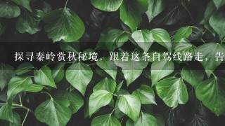 探寻秦岭赏秋秘境，跟着这条自驾线路走，告诉你留坝