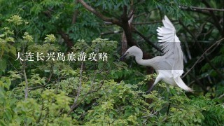 大连长兴岛旅游攻略