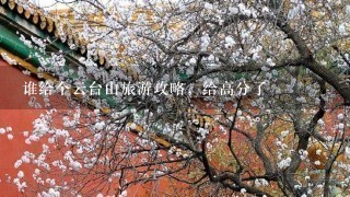 谁给个云台山旅游攻略，给高分了