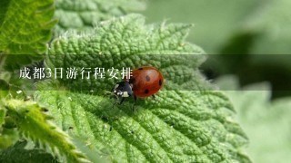 成都3日游行程安排