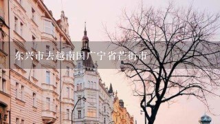 东兴市去越南国广宁省芒街市