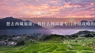 想去西藏旅游，有什么网站是专门介绍攻略的吗？就像“岛多多”这类型的网站。