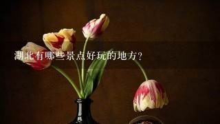 湖北有哪些景点好玩的地方？