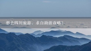 想去四川旅游，求自助游攻略？