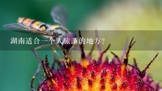 湖南适合一个人旅游的地方？